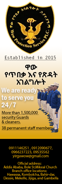 Wow Protection SB Home P8